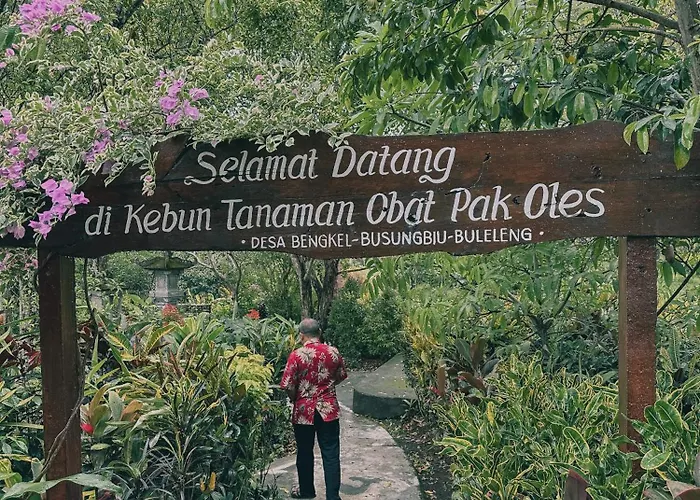 Ipsa *